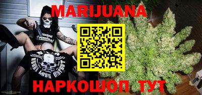 гидропоника Новозыбков