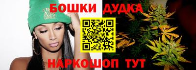 гидропоника Новозыбков