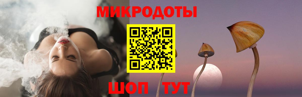 Псилоцибиновые грибы Psilocybine cubensis Северобайкальск